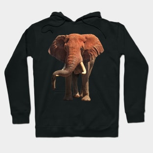 Funny lazy red Elephant in Kenya / Africa Hoodie